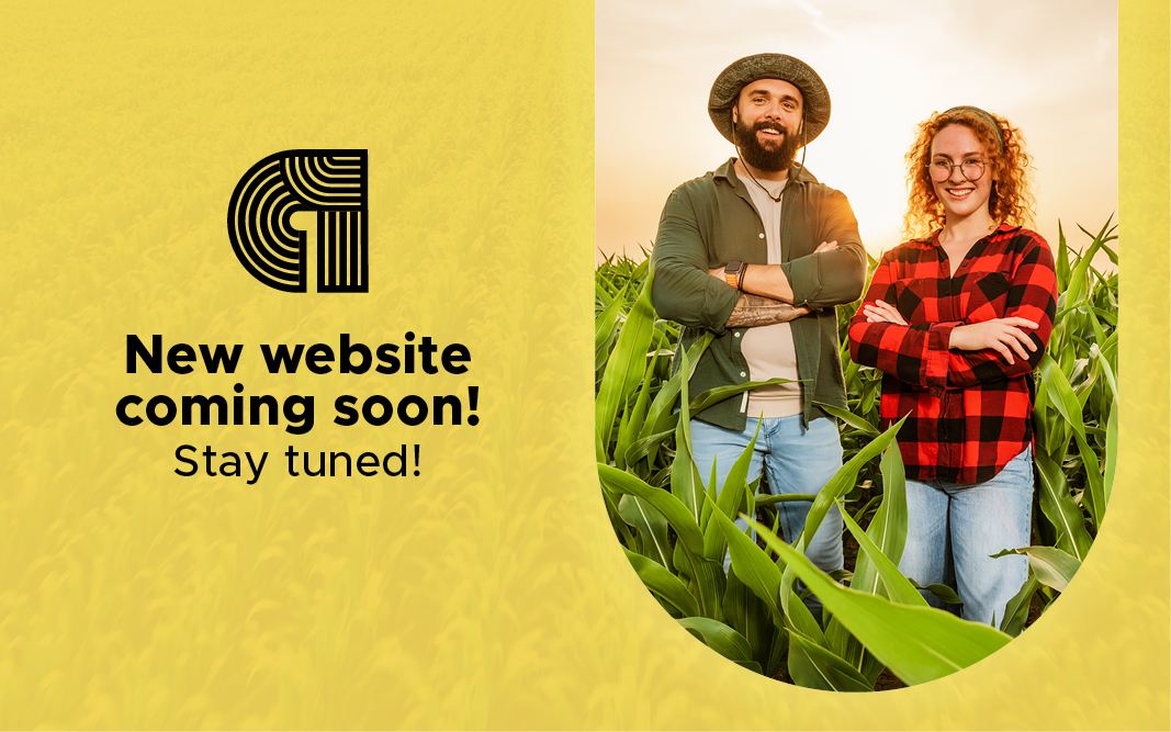 Nouveau site web en ligne bientôt